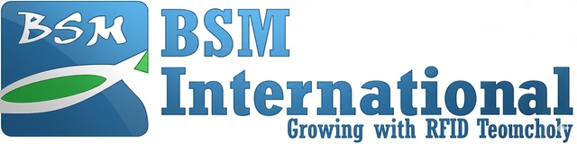 BSM International Logo